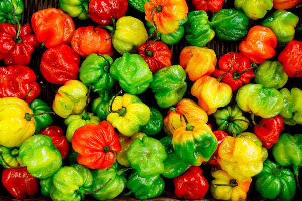 Organic Whole Jamaican Scotch Bonnet Pepper.