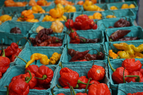 Organic Whole Jamaican Scotch Bonnet Pepper.