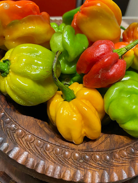 Organic Whole Jamaican Scotch Bonnet Pepper.