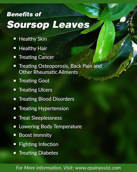 100% Organic Soursop Leaves