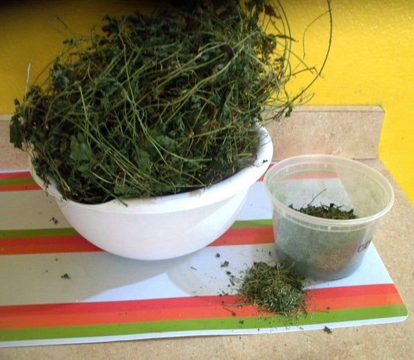 100% Organic Cerasee Leaves